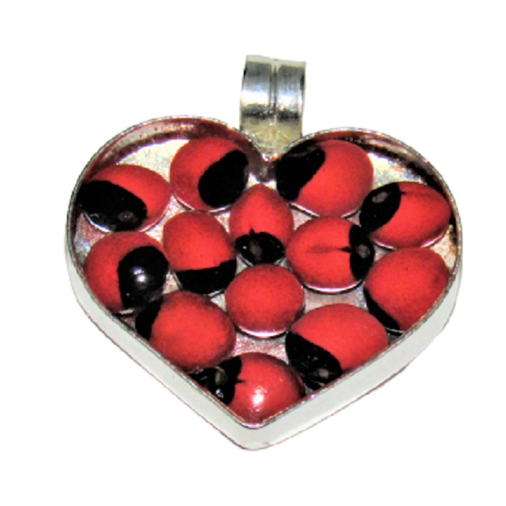 NWOT Beautiful Peruvian Huayruro Seeds Heart Shape Pendant D7-TQTE-H96C